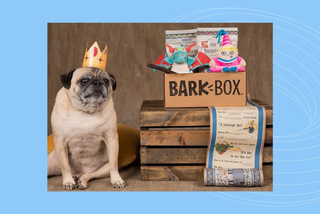 Image of BarkBox's direct marketing campaign