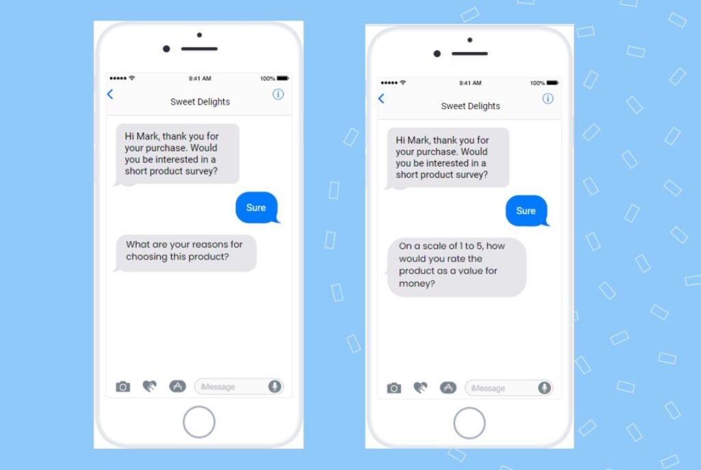 Example image showing product survey questions