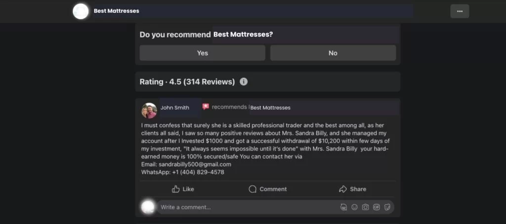 Screenshot showing an example of a Facebook business review.