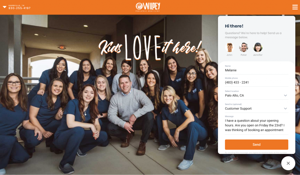 Birdeye Teams on website