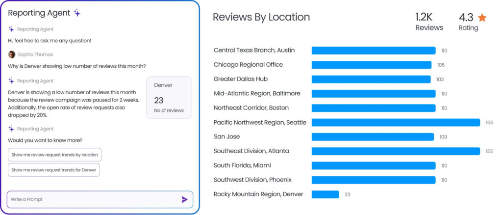 Birdeye Review Reporting Agent insights
