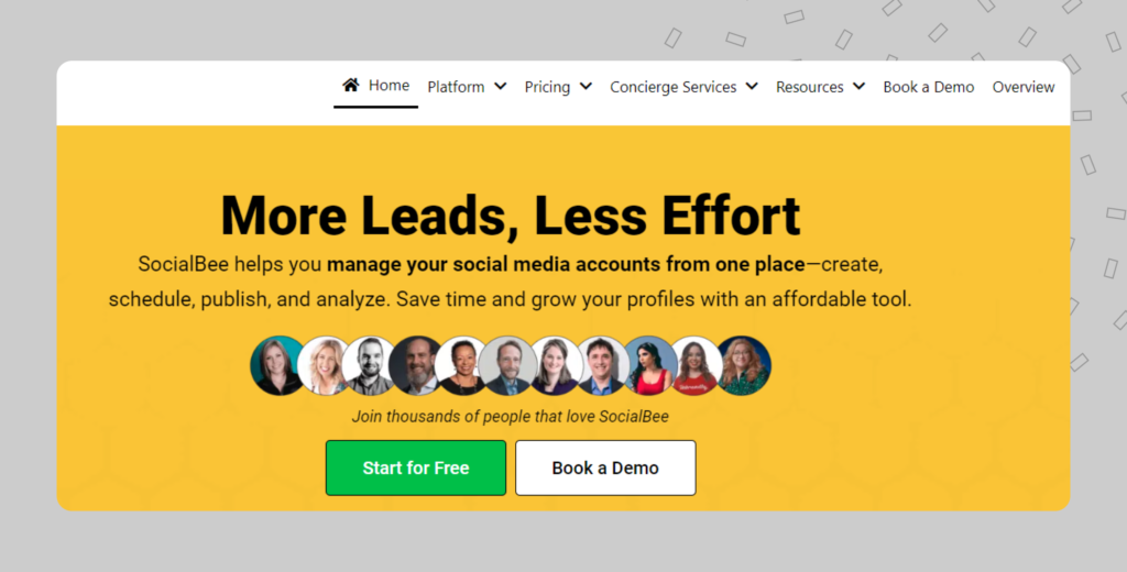 Social Bee landing page