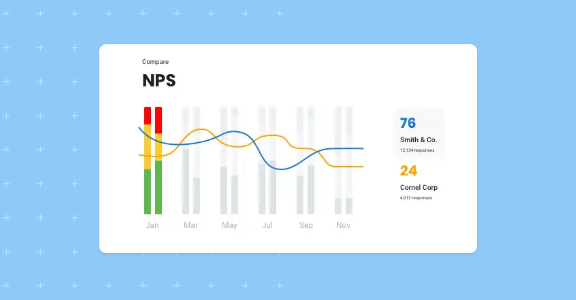 Interface of Birdeye's software running an NPS analysis.