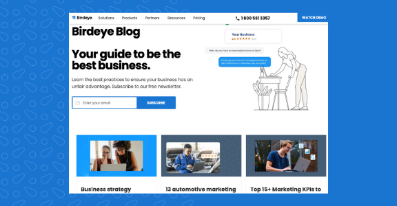 Blog pages on Birdeye's website.