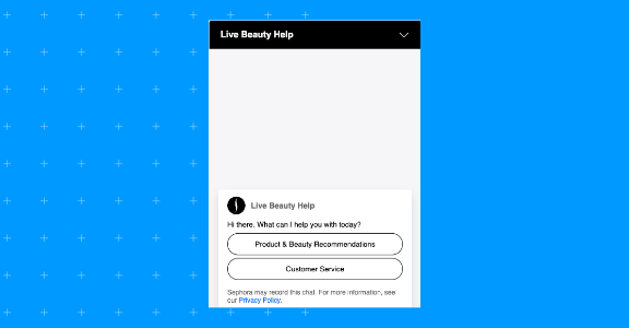 Sephora's chatbot.