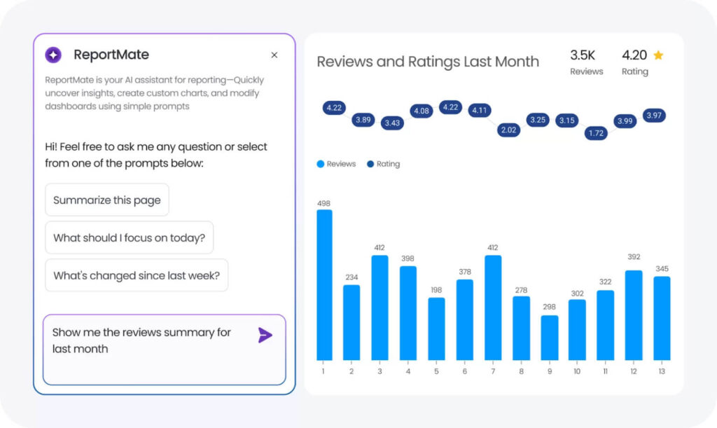 This image shows Birdeye Reporting Agent dashboard