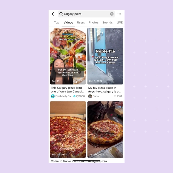 TikTok search example