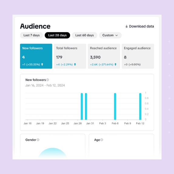 TikTok audience analytics