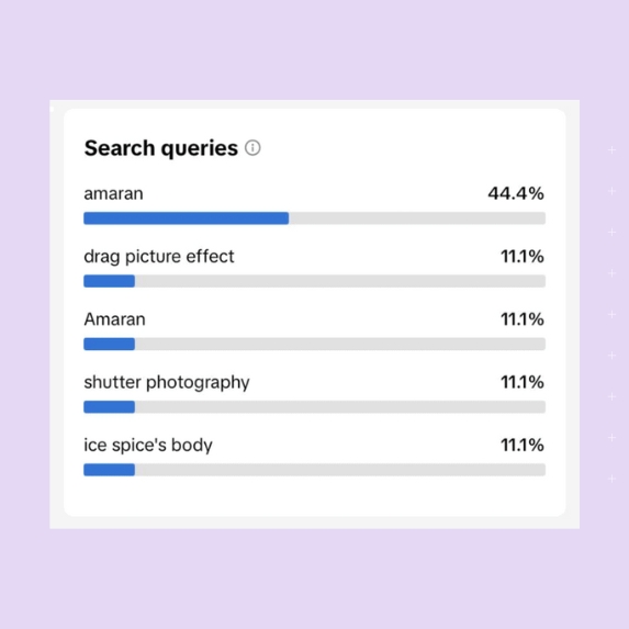 Example of TikTok search queries