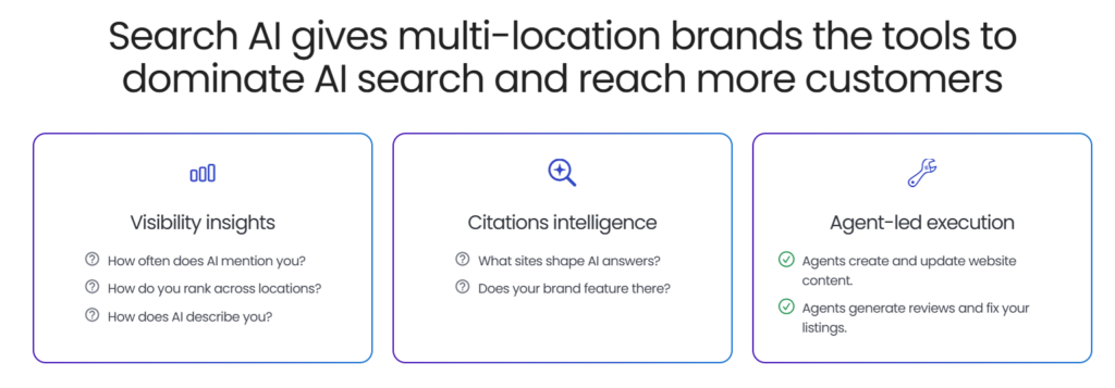 Birdeye Search AI 