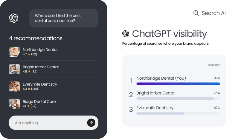 Birdeye Search AI dashboard