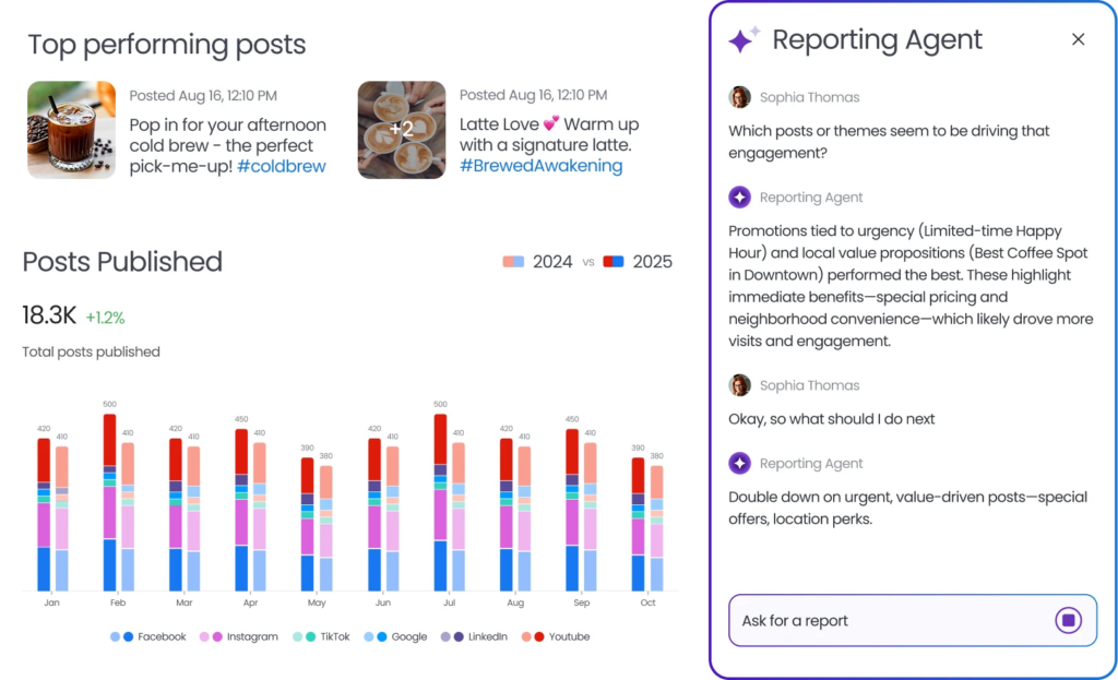 The image shows Birdeye Social AI Reporting Agent dashboard. 