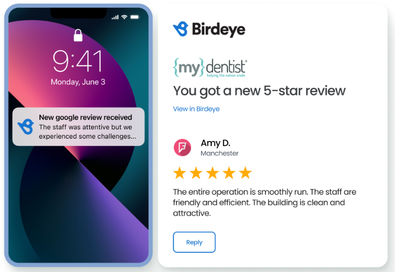 Birdeye's case study (mydentist) dashboard image