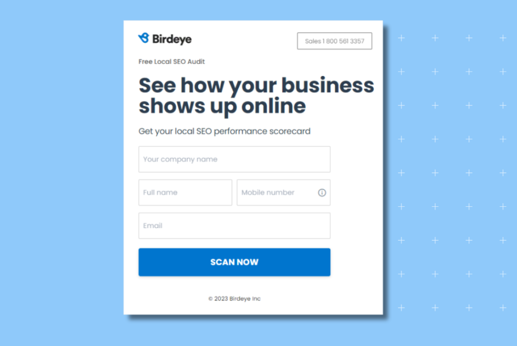 Birdeye's local SEO audit tool