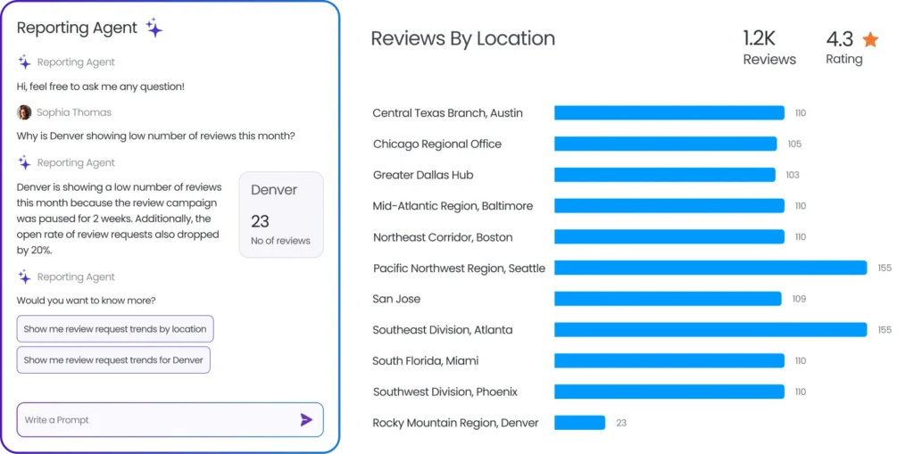 Birdeye reviews reporting agent.